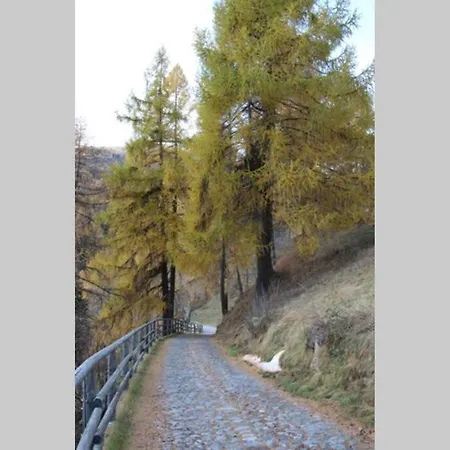 Grazioso Appartamento A 1 Km Da Ponte Di Legno